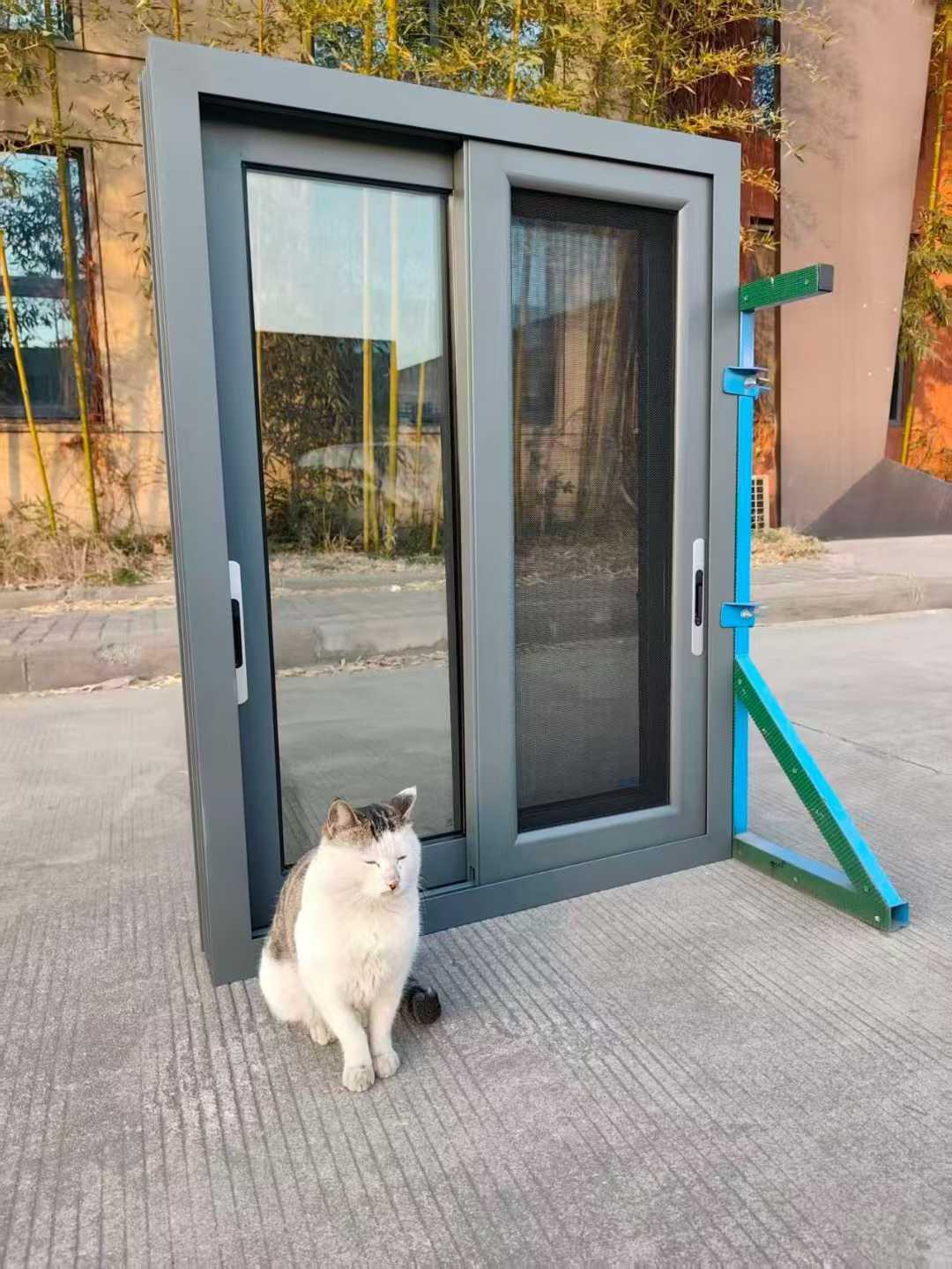 Custom gray aluminum double door
